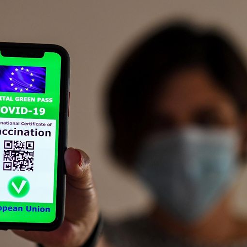 LA GUIDA. Scattato l'obbligo del Green Pass. Dal primo settembre tocca a scuola, università, treni a lunga percorrenza, aerei e navi