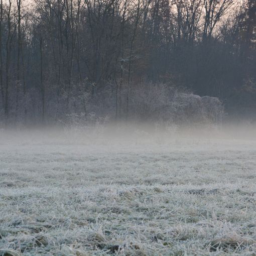Notte con picco di -8 gradi nelle valli a nord di Varese e risveglio sotto zero in tutta la provincia