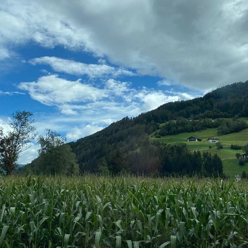 Hotel Pfösl, trascorri una vacanza rilassante sulle Dolomiti