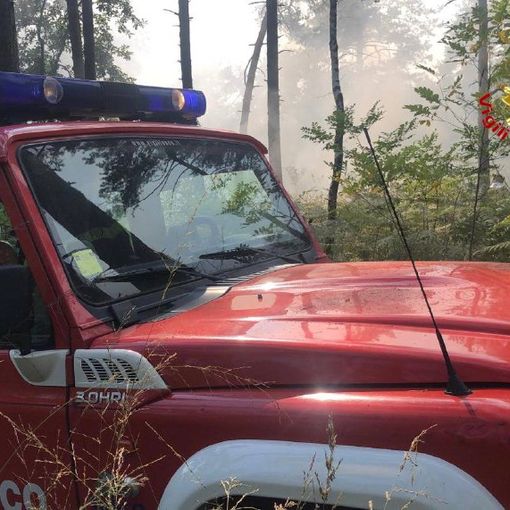 Spento l'incendio al Parco Pineta. In fiamme cento metri quadri di sottobosco