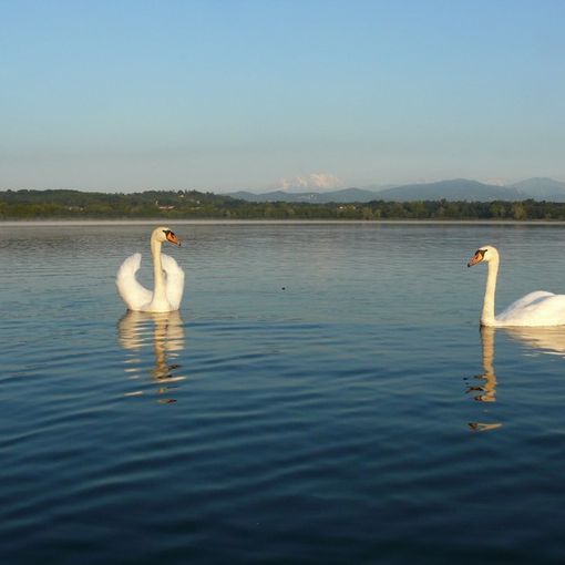 “L’Acqua siAMO noi”: gita con spettacolo sul lago di Varese