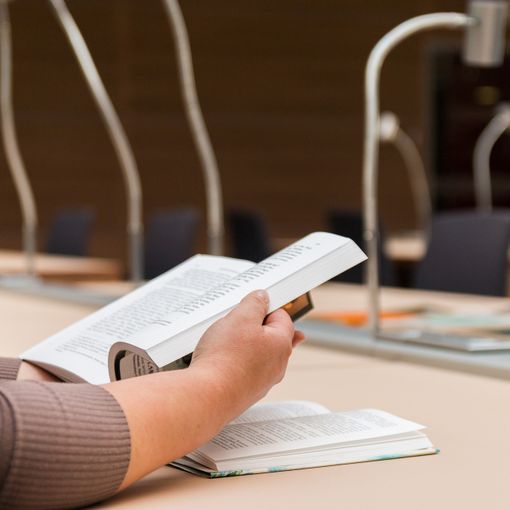 La carica dei 1.500 per la maturità a Busto Arsizio