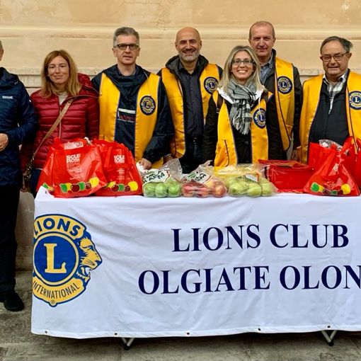 Lions Club Olgiate Olona, «il bello di aiutare il territorio»