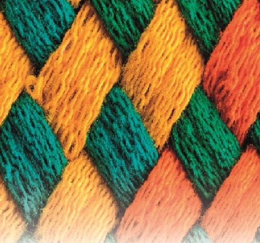 Acof e Fondazione Molina unite per tutelare la dignità del fine vita. Tre giornate di approfondimento sulle cure palliative