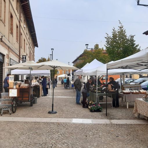 Mercato Contadino a Canegrate domenica 3 settembre