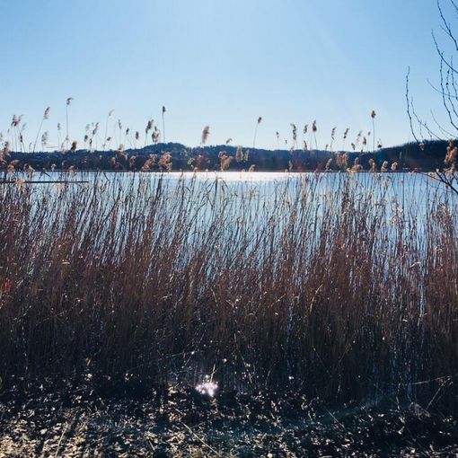 METEO. Una domenica di sole splendente sul Varesotto. Ma martedì tornano pioggia e freddo