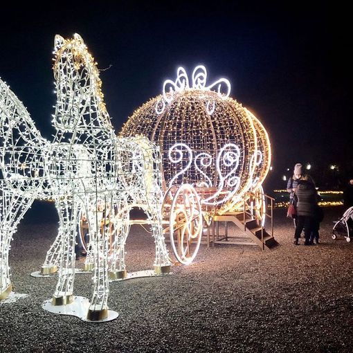 VIDEO. 50 mila visitatori in dieci giorni per vedere le lucine ai Giardini Estensi