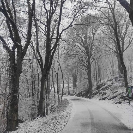 La nevicata in corso questa mattina, venerdì 5 gennaio, al Campo dei Fiori