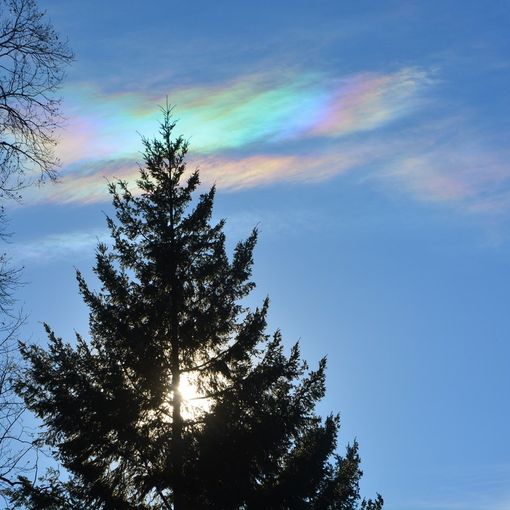 Nubi iridescenti nei cieli della provincia di Varese (foto tratta dalla pagina Facebook ufficiale del Centro Geofisico Prealpino) Nubi iridescenti nei cieli della provincia di Varese (foto tratta dalla pagina Facebook ufficiale del Centro Geofisico Prealpino)