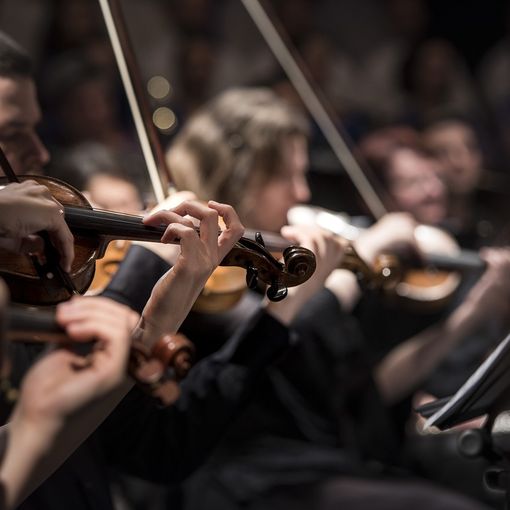La European Young Orchestra in scena in Lombardia