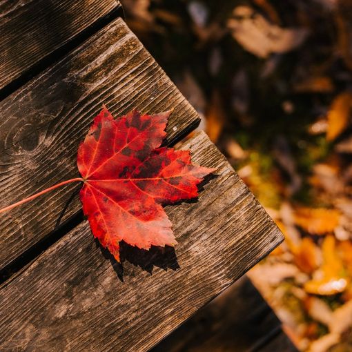 CHE FARE NEL WEEKEND. Un fine settimana di ottobre da trascorrere tra musica, mostre e letture