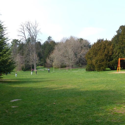 Parco Mantegazza, via libera al chiosco a chilometro zero «che parlerà del territorio»