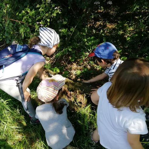 Dalla Regione 800mila euro per il potenziamento strutturale di Campo dei Fiori e Parco Pineta