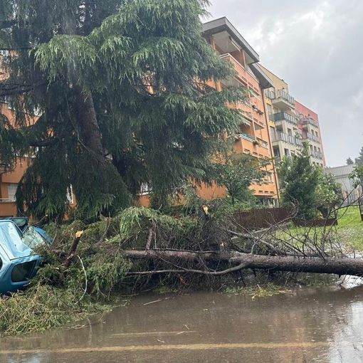 Danni e tettoie volate a terra a Parabiago (foto Ezio Conti via NaturalMeteo). Sotto nella gallery auto investite dal crollo di un gigantesco ramo a Saronno (foto da IlSaronno.it), due immagini degli interventi dei vigili del fuoco in provincia e la parte di tetto del centro commerciale "Il Centro" crollata Danni e tettoie volate a terra a Parabiago (foto Ezio Conti via NaturalMeteo). Sotto nella gallery auto investite dal crollo di un gigantesco ramo a Saronno (foto da IlSaronno.it), due immagini degli interventi dei vigili del fuoco in provincia e la parte di tetto del centro commerciale "Il Centro" crollata