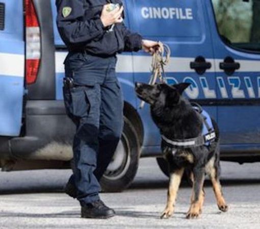 Blitz della polizia contro lo spaccio al Parco Pineta: identificate 118 persone, 20 avevano precedenti