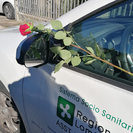 La rosa lasciata sull'auto
