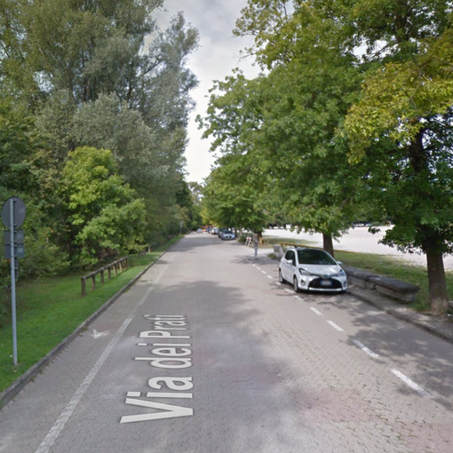 Schiranna, 200 piante per la barriera verde e una nuova area cani