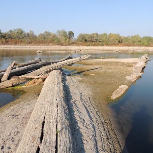 Una recente immagine del fiume Po scattata dal fotoreporter naturalista Paolo Panni nel tratto medio del Po tra le provincie di Cremona e Parma