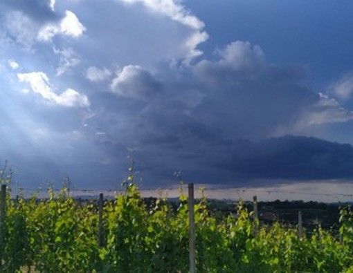 CHE TEMPO FARÀ. Oggi e domani potrebbero essere toccati i 30 gradi. Ma tornano i temporali