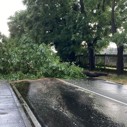 Maltempo a Busto: giù alberi e strade bloccate. Treni in tilt