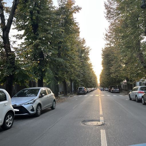 Viale Lombardia