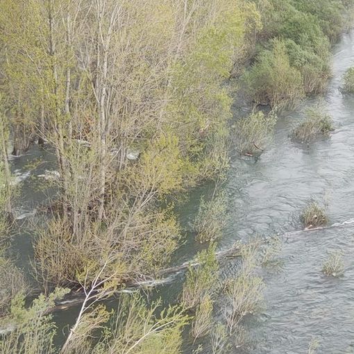 FOTO. Si ribaltano con la canoa nelle acque del Ticino: salvati dai vigili del fuoco