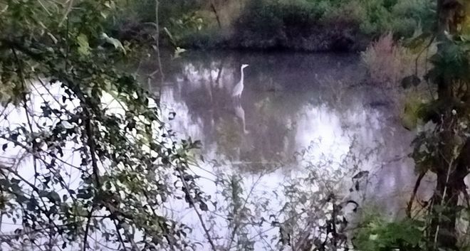 Meravigliosi incontri. Dalla pagina Facebook del Gruppo di cammino fagnanese