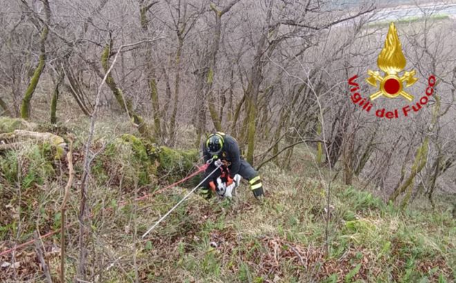 Il salvataggio del cane a Brusimpiano Il salvataggio del cane a Brusimpiano