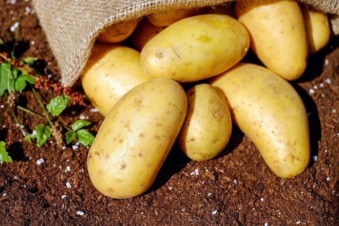 Carne e patate… senza carne