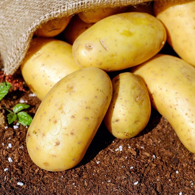 Carne e patate… senza carne