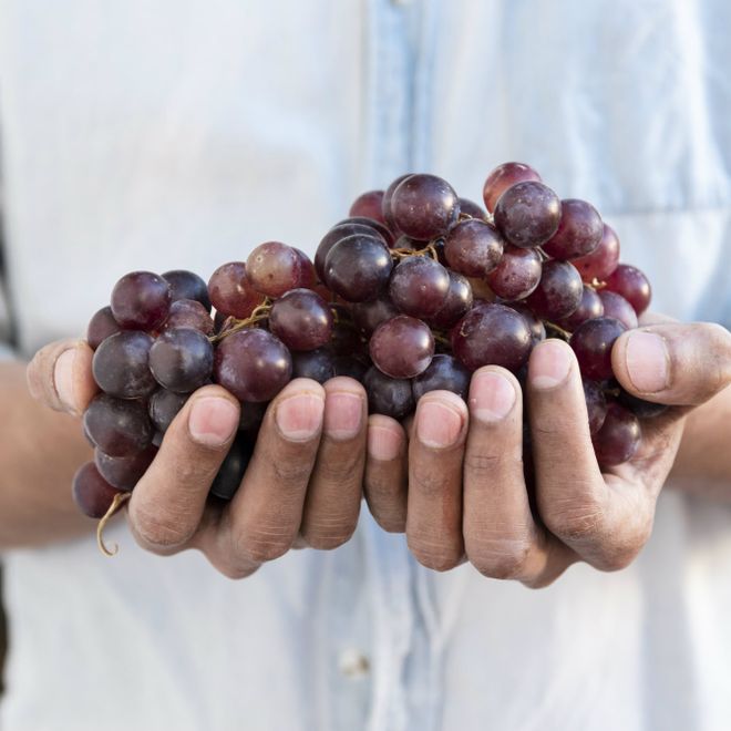 &quot;un mericanèl&quot; - il vino di uva clintòn