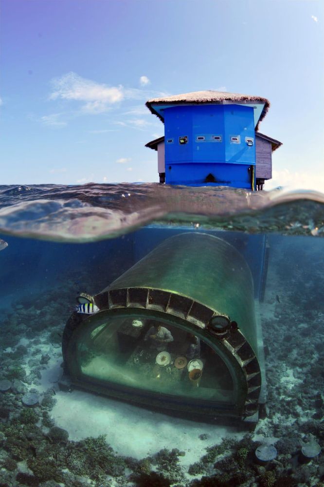 FOTO Dolce Varese e risotto alle Maldive: dentro al paradiso di chef De Ambrosis FOTO Dolce Varese e risotto alle Maldive: dentro al paradiso di chef De Ambrosis