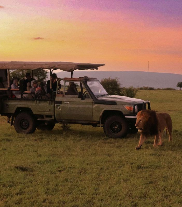 5 motivi per cui la tua prossima vacanza dovrà essere un Safari