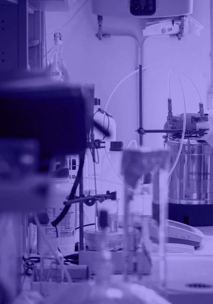 BMG Pharma: leadership nel settore oral care e medicina estetica