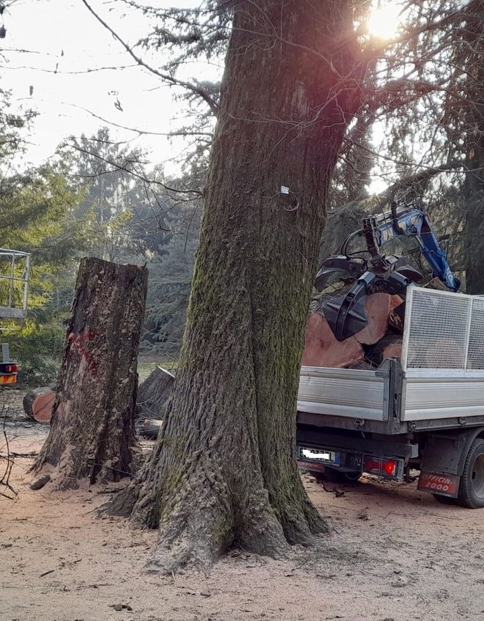 Gallarate: motoseghe al parco Bassetti