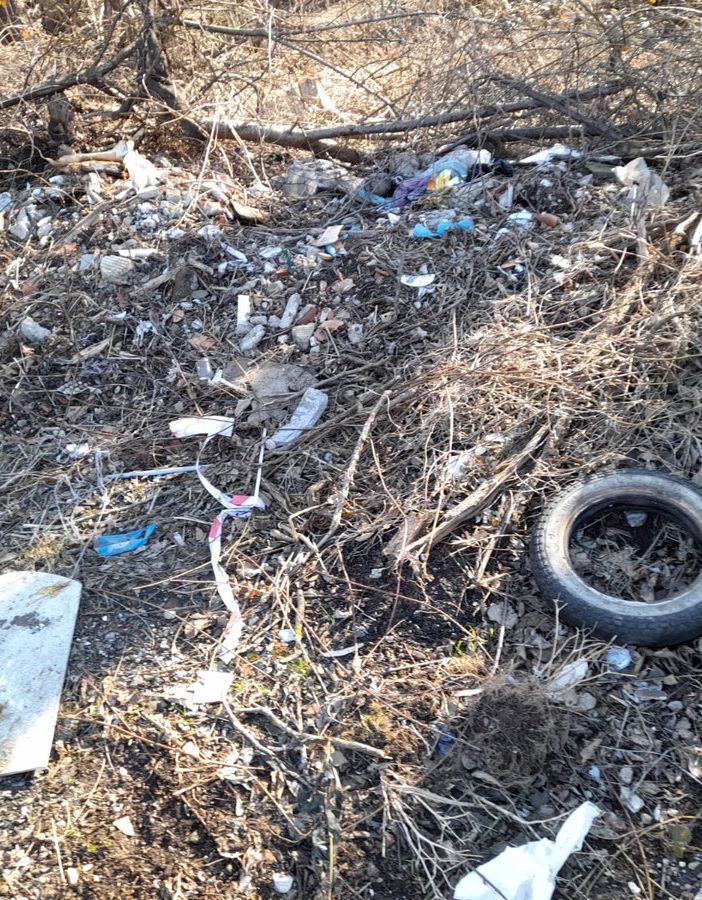 FOTO. L'oasi (anche) della monnezza: gli incivili sfidano tutti