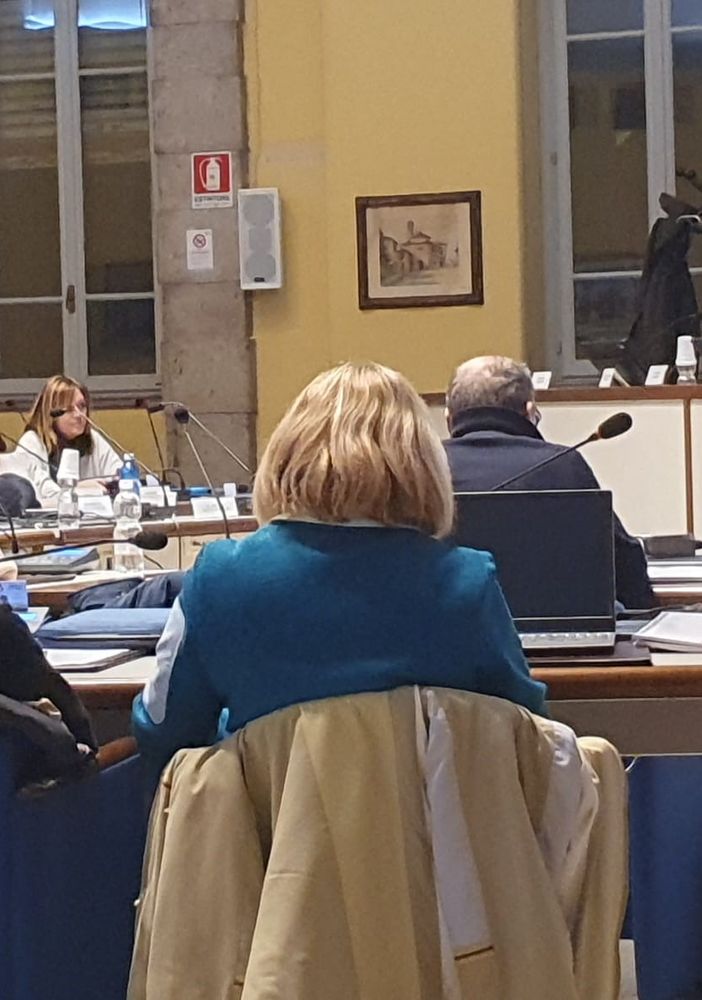 Voto palese sulla sfiducia, Max Rogora attacca la minoranza: «Seminate odio»