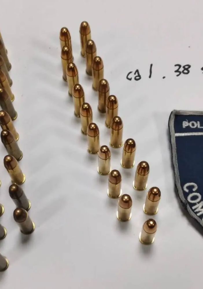 Trovano cinquanta proiettili di pistola nel bosco