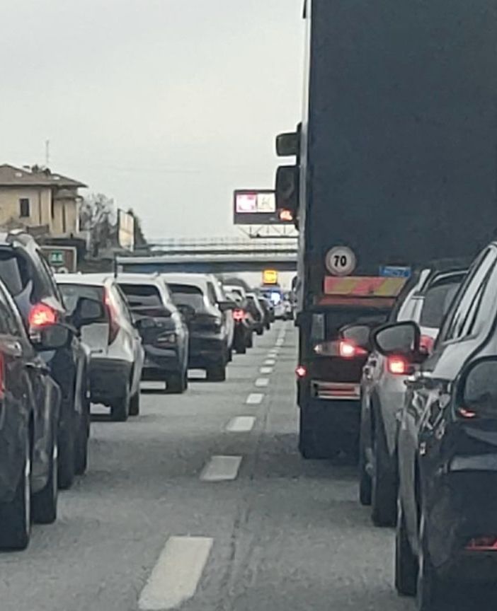 Un cane fa lo slalom tra le auto, traffico sulla superstrada della Malpensa