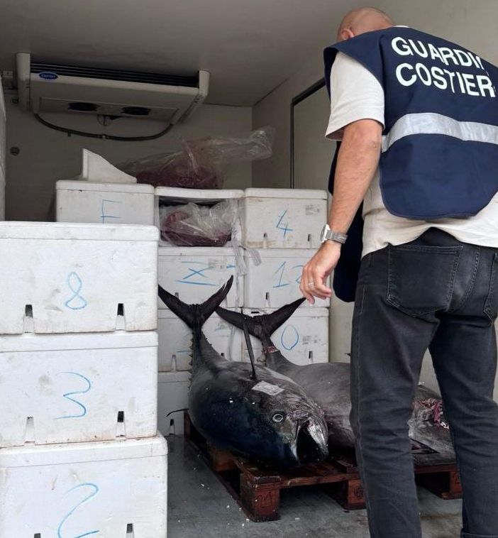 Il tonno sequestrato dagli agenti della Capitaneria di Porto Guardia Costiera di Genova