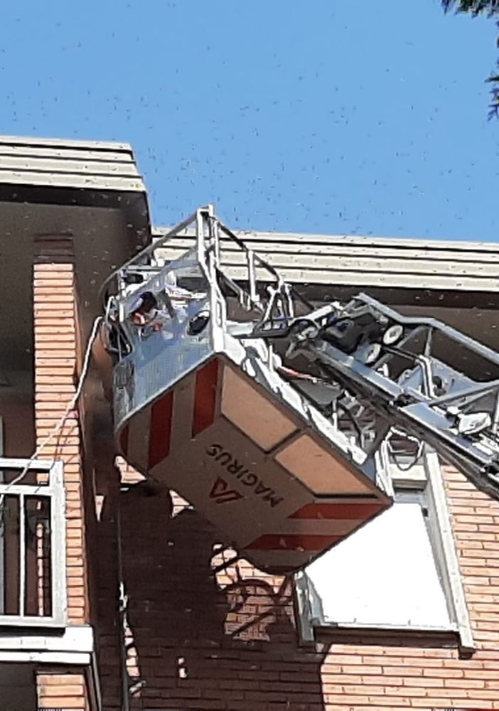 (foto tratta da IlSaronno.it)