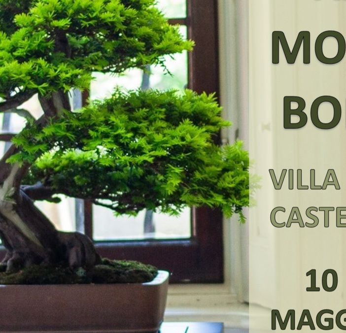 Il Giappone in miniatura a Villa Pomini