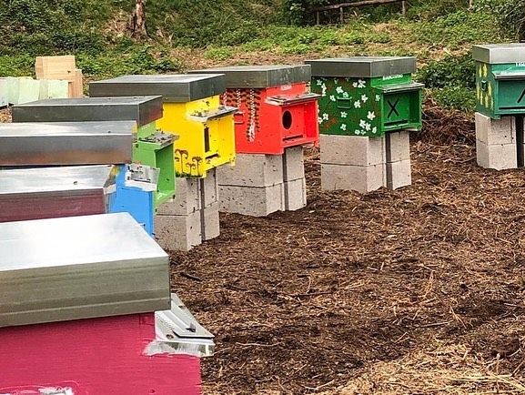 “Le api al Castello” di Legnano cominciano a raccogliere “amici”