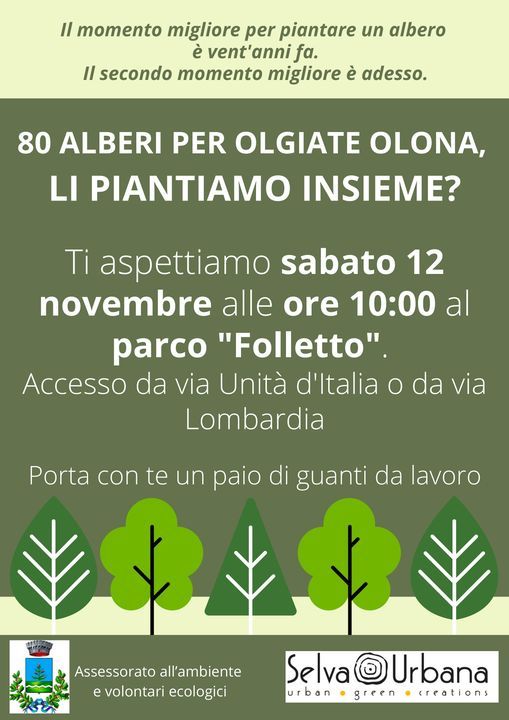 Ottanta nuovi alberi per Olgiate