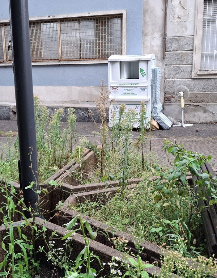 Piazza XXV Aprile, fra trascuratezza e comportamenti incivili