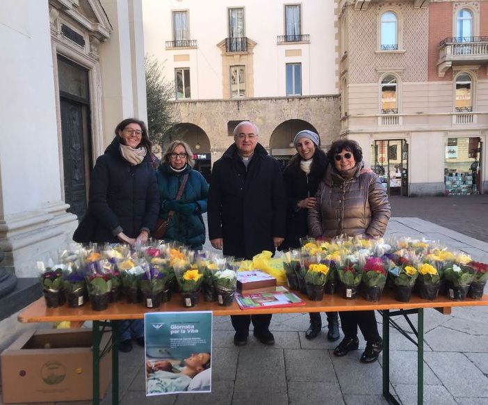 Più di 8mila e 500 primule per la giornata della vita