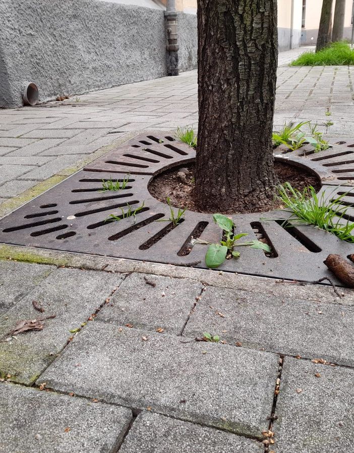 Via Caduti costellata di escrementi, proprio vicino alla scuola