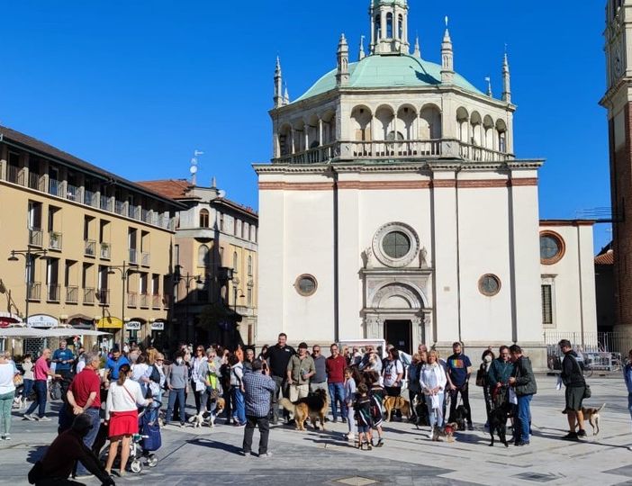 Alcune immagini della camminata a 6 zampe