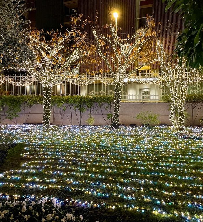 Busto, più di sei chilometri di Led nella “Casa delle lucine” di via Bramante