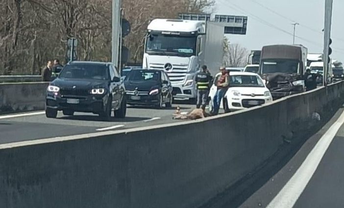 Foto dal gruppo Facebook &quot;Sei di Samarate se...&quot;
